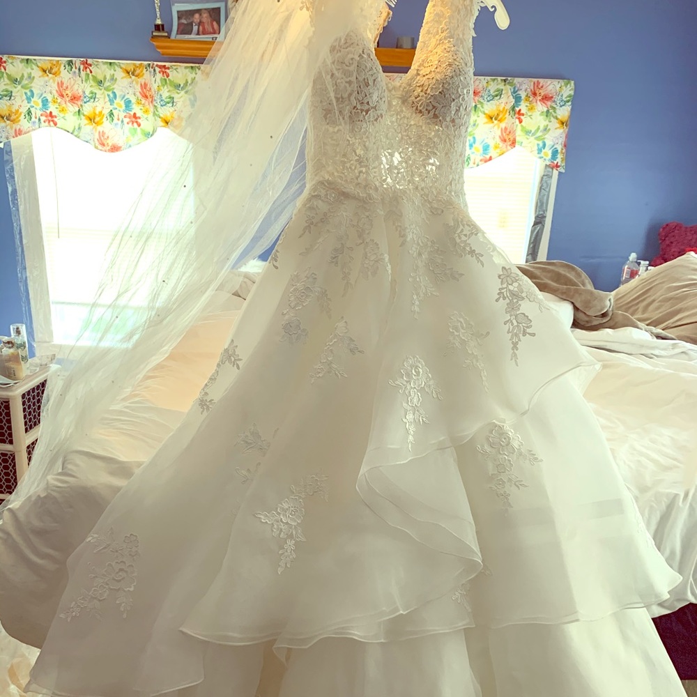 Wedding gown and veil